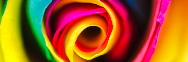 Mystic Rose | wild.maths.org